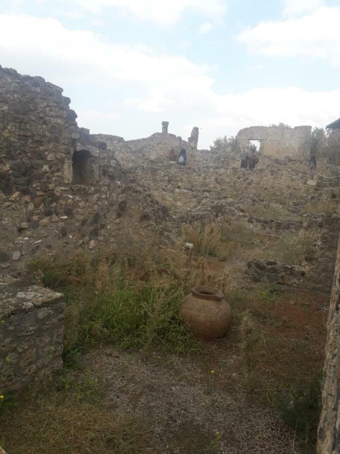 Rosy Monolocale Nel Centro Storico Di Torre Annunziata Di Fronte Scavi Oplonti Apartman Kültér fotó